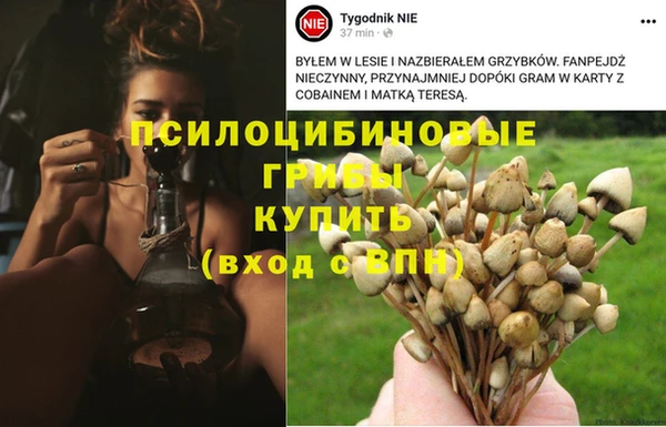 мескалин Инта